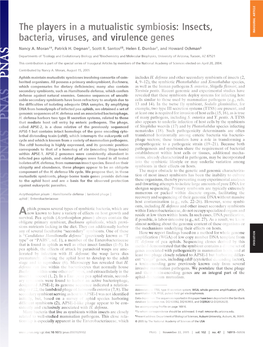 The Players in a Mutualistic Symbiosis: Insects, Bacteria, Viruses, and Virulence Genes