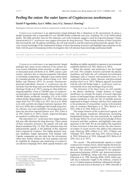 The Outer Layers of Cryptococcus Neoformans