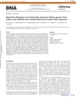 Molecular Phylogeny of Commercially Important Lobster Species from Indian Coast Inferred from Mitochondrial and Nuclear DNA Sequences