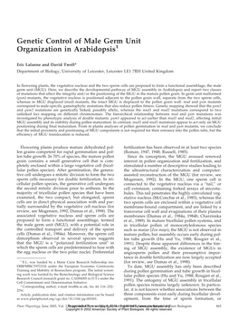 Genetic Control of Male Germ Unit Organization in Arabidopsis1