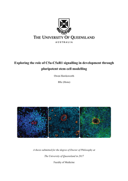 Exploring the Role of C5a-C5ar1 Signalling in Development Through Pluripotent Stem Cell Modelling