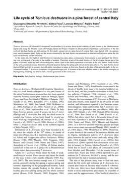 Life Cycle of Tomicus Destruens in a Pine Forest of Central Italy