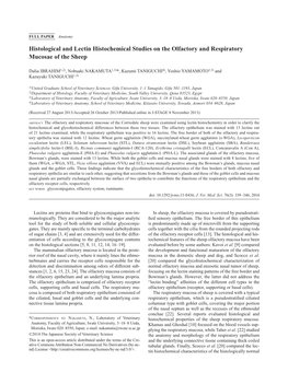 Histological and Lectin Histochemical Studies on the Olfactory and Respiratory Mucosae of the Sheep