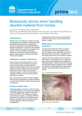 Biosecurity Advice When Handling Aborted Material from Horses