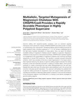 Multiallelic, Targeted Mutagenesis of Magnesium Chelatase with CRISPR/Cas9 Provides a Rapidly Scorable Phenotype in Highly Polyploid Sugarcane