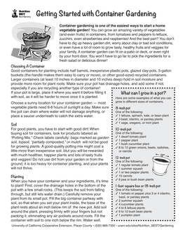 Getting Started with Container Gardening