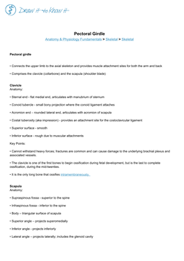 Pectoral Girdle Anatomy & Physiology Fundamentals > Skeletal > Skeletal