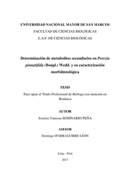 Determinación De Metabolitos Secundarios En Perezia Pinnatifida (Bonpl.) Wedd