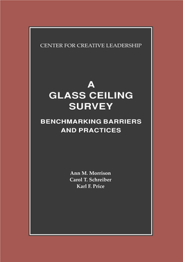 A Glass Ceiling Survey