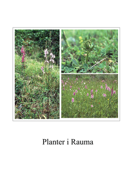 Planter I Rauma Forfatterens Adresse