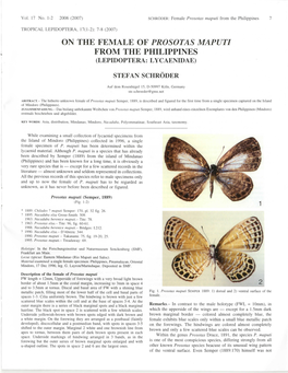 On the Female of Prosotas Maputi from the Philippines (Lepidoptera: Lycaenidae)