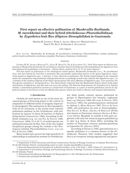 First Report on Effective Pollination of Masdevallia Floribunda, M