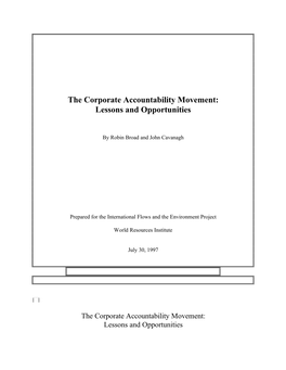 The Corporate Accountability Movement: Lessons and Opportunities
