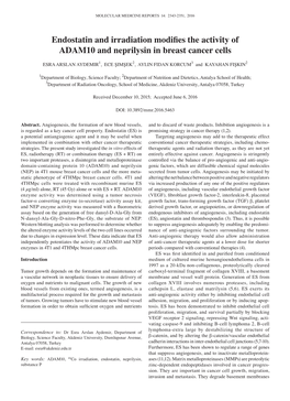 Endostatin and Irradiation Modifies the Activity of ADAM10 and Neprilysin in Breast Cancer Cells