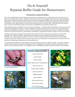 Do-It-Yourself Riparian Buffer Guide for Homeowners