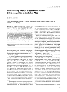 First Breeding Attempt of Spectacled Warbler Sylvia Conspicillata in the Italian Alps