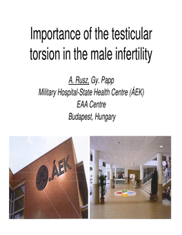 Importance of the Testicular Torsion in the Male Infertility