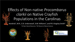 Effects of Non-Native Procambarus Clarkii on Native Crayfish Populations in the Carolinas Kendrick1, M.R., E.B