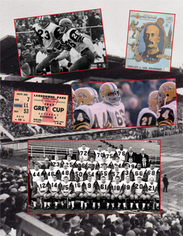 HAMILTON CELEBRATES CENTENNIAL with GREY CUP by Brian Snelgrove