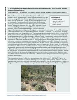 Prosopis Velutina / Opuntia Engelmannii / Encelia Farinosa