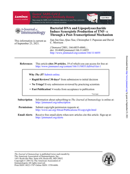 Bacterial DNA and Lipopolysaccharide Induce Synergistic Production of TNF- Α Through a Post-Transcriptional Mechanism