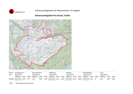 Schwerpunktgebiete Für Wiesenbrüter Im Engadin Schwerpunktgebiet Pra