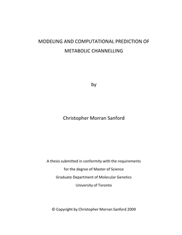 Modeling and Computational Prediction of Metabolic Channelling