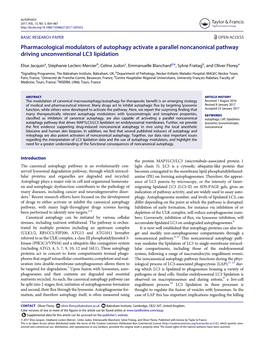 Pharmacological Modulators of Autophagy Activate a Parallel Noncanonical Pathway Driving Unconventional LC3 Lipidation