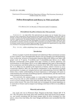 Pollen Dimorphism and Dioecy in Vitis Aestivalis