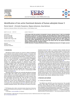 Identification of Two Active Functional Domains of Human Adenylate Kinase 5