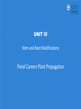 Stem and Root Modifications