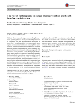 The Role of Sulforaphane in Cancer Chemoprevention and Health Benefits: a Mini-Review