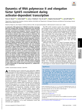 Dynamics of RNA Polymerase II and Elongation Factor Spt4/5 Recruitment During Activator-Dependent Transcription