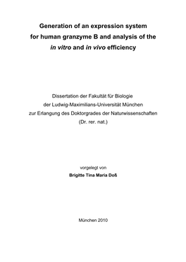 Generation of an Expression System for Human Granzyme B and Analysis of the in Vitro and in Vivo Efficiency