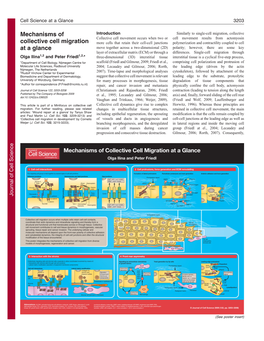 Mechanisms of Collective Cell Migration at a Glance