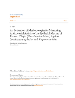 An Evaluation of Methodologies for Measuring