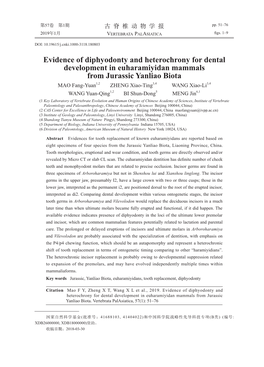 Evidence of Diphyodonty and Heterochrony for Dental