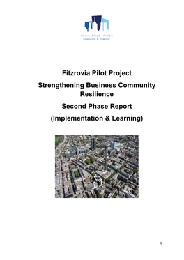 Fitzrovia Pilot Project Strengthening Business Community Resilience Second Phase Report (Implementation & Learning)