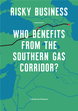 Who Benefits from the Southern Gas Corridor?