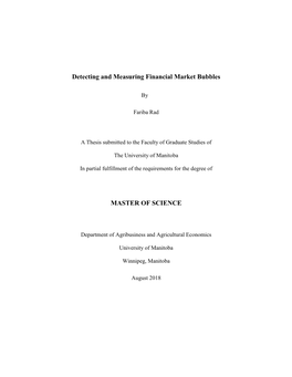 Detecting and Measuring Financial Market Bubbles