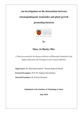 Mary Jo Hurley Phd Thesis 2018.Pdf (3.880Mb)