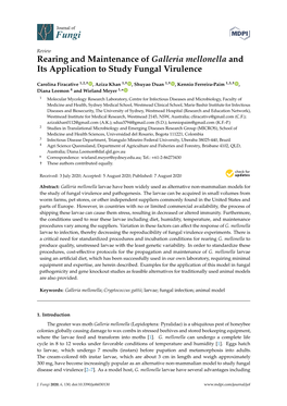 Rearing and Maintenance of Galleria Mellonella and Its Application to Study Fungal Virulence