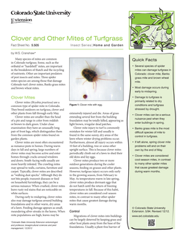 Clover and Other Mites of Turfgrass Fact Sheet No