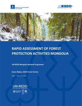 Rapid Assessment of Forest Protection Activities Mongolia