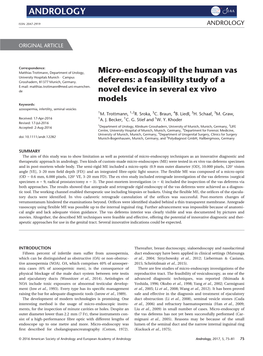 Micro‐Endoscopy of the Human Vas Deferens: a Feasibility Study of A