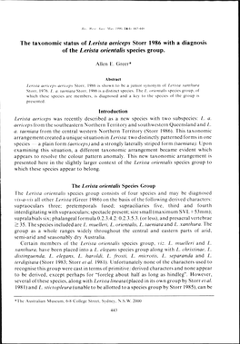 The Taxonomic Status of Lerista Aericeps Storr 1986 with a Diagnosis of the Lerista Orientalis Species Group