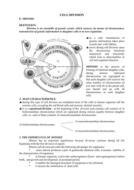 Cell Division I