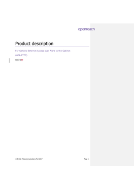 Product Description