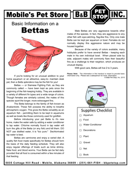 Bettas Are Very Aggressive Towards Other Bettas Males of the Species