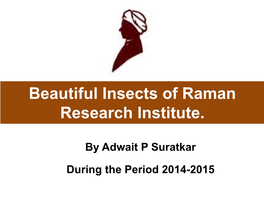 Beautiful Insects of Raman Research Institute